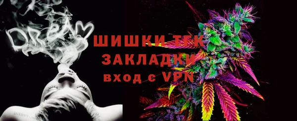 ГАЛЛЮЦИНОГЕННЫЕ ГРИБЫ Вяземский