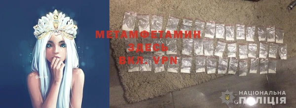 ГАЛЛЮЦИНОГЕННЫЕ ГРИБЫ Вяземский
