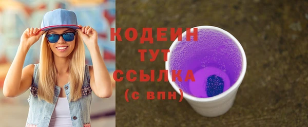 ГАЛЛЮЦИНОГЕННЫЕ ГРИБЫ Вяземский