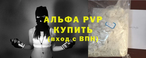 ГАЛЛЮЦИНОГЕННЫЕ ГРИБЫ Вяземский
