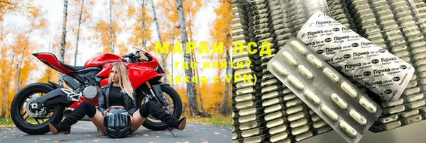 ГАЛЛЮЦИНОГЕННЫЕ ГРИБЫ Вяземский