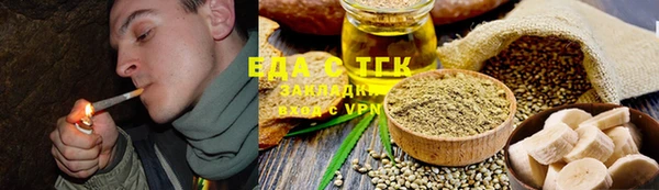 ГАЛЛЮЦИНОГЕННЫЕ ГРИБЫ Вяземский