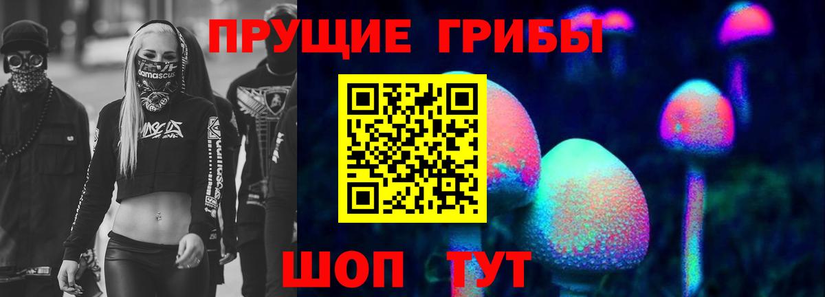 Псилоцибиновые грибы MAGIC MUSHROOMS  Вход с VPN  Дагестанские Огни 